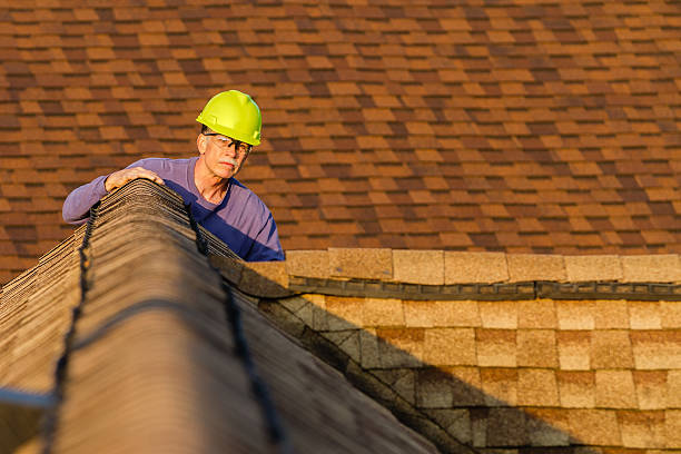 Best Roof Gutter Cleaning  in Lone Oak, TN