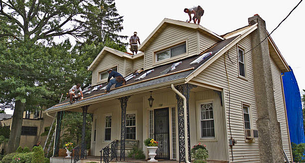 Best Storm Damage Roof Repair  in Lone Oak, TN